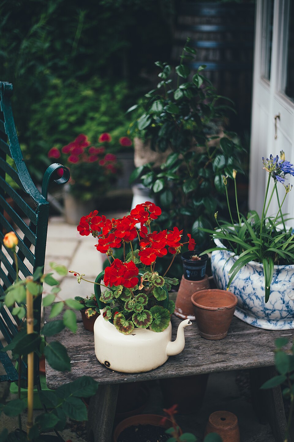 Lebendiger Garten mit üppigen Pflanzen und Blüten vor einem Hauseingang